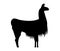 Black silhouette of a llama