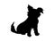 Black silhouette of a long furred dog on white background. Computer generated sketch / drawing of a small puppy with long fur.
