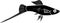 Black silhouette of male swordtail aquarium fish