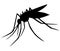 Black silhouette of mosquito isolated from white background. Flying insect. Mosquito icon. Midge. Tiger mosquito.