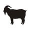 Black silhouette of a realistic goat