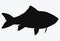 Black silhouette of river fish. Contour of the crucian carp. Logo. Tattoo.