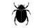 black silhouette of a scarab beetle, vector insect isolated on a white background
