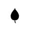 Black silhouette of single leaf icon on white
