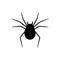 Black silhouette of spider isolated on white background. Halloween decorative element. Vector illustration for any design