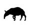 Black silhouette of tapir. Isolated image on white background. Animal of North America