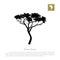 Black silhouette of a tree and white background. African nature. Umbrella acacia