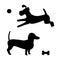 Black silhouette of two dogs. Puppy in jumping for the ball and runs,