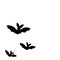 Black silhouettes of bats. Cave black bats group on white Halloween background. Silhouettes of flying bats traditional Halloween