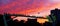 Black silhouettes of bird flock sitting on green street light on the background of dramatic urban sunset