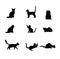 Black silhouettes cats vector images