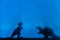 Black silhouettes of dinosaurs on a blue wall. Predator and herbivore animal. Creative background with small miniatures.