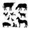 Black silhouettes of farm animals. Icons set of domestic cattle. Isolated image of rural livestock and poultry