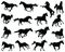 Black silhouettes horses