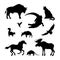 Black silhouettes of North American animal. Isolated image of elk, bison, crocodile on white background. Wildlife