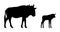 Black silhouettes of wildebeest and calf