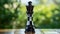 Black And Silver Chess Piece: Clear Edge Definition, Vivid Colors