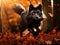 Black silver fox rare form. Dark red fox playing in autumn forest. Animal jump in fall wood. Wildlife scene from wild nature