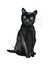 Black sitting kitten. Animal. Watercolour illustration isolated on white background.