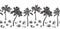 Black sketch palm tree and coconut outline horizontal seamless border. Vector drawing coco plants. Hand drawn endless illustration