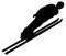 Black Skier Flat Icon on White Background