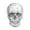 Black skull on white background. Vector skull for print, emblem, t-shirt design, cards, labels.