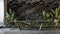 Black slate wall with large table and plants.