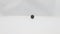 A black small squash ball rolls on a white background.