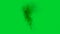 Black smoke rises from a burning object. Black Smoke Over the Conflagration on green screen