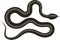Black snake vector illustration.
