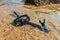 Black snorkelling tube and diving mask / goggles on sand in shallow sea water