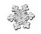 Black snowflake  on white background. Illustration based on macro photo of real snow crystal: elegant star plate