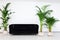 Black sofa with green plants