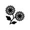 Black solid icon for Daisy, flower and beautiful