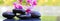 Black spa stones and pink orchids. Wellness background.