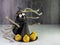 Black spider with gold and silver pipe cleaner legs sitting behind a black witch hat with orange and green carrot cake balls lined