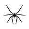 Black spider isolated on white background