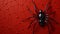 A black spider on a red background