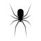 Black spider silhouette. scary spider isolated background. spider vector icon