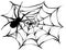 Black spider and torn web. Scary spiderweb of halloween symbol. Isolated on white illustration