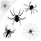 Black spider and webs vector for Halloween