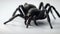 black spider on white background. Generative AI