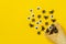 Black spiders and flies, googly eyes crawl out of ice cream cone on yellow background