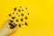 Black spiders and flies, googly eyes crawl out of ice cream cone on yellow background