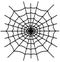 Black spiderweb isolated