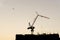 A Black steel tower crane standing on the top of a black building on construction, plane flying above on evening sky