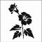 Black Stencil Art Flower Portrait With Leaves - High Resolution