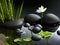 Black stones, bamboo and white waterlily in water