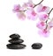 Black stones and pink orchid
