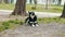 Black stray dog sit on playground in city park, homeless, wild